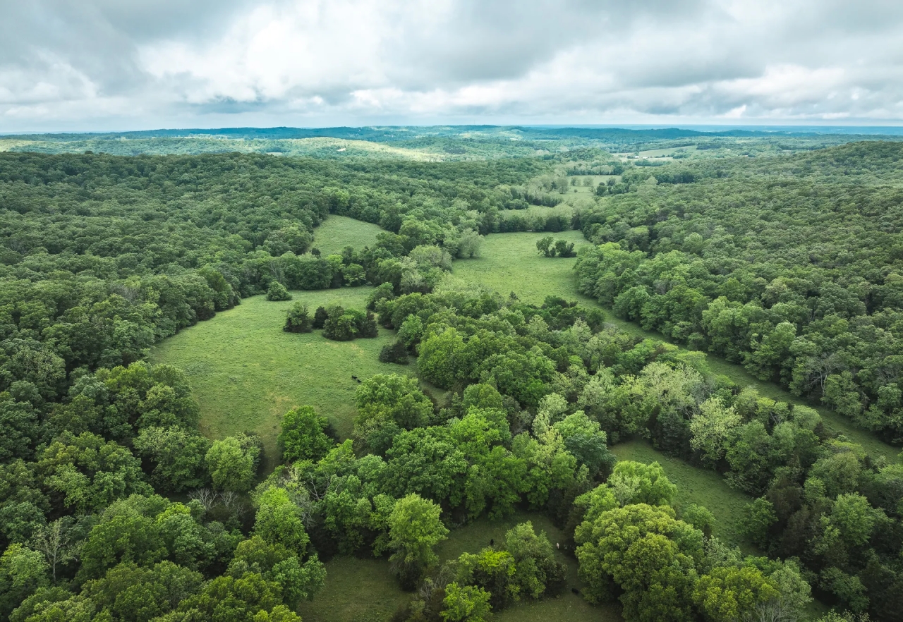 County Road 318 Chamois MO Hunting Land for Sale