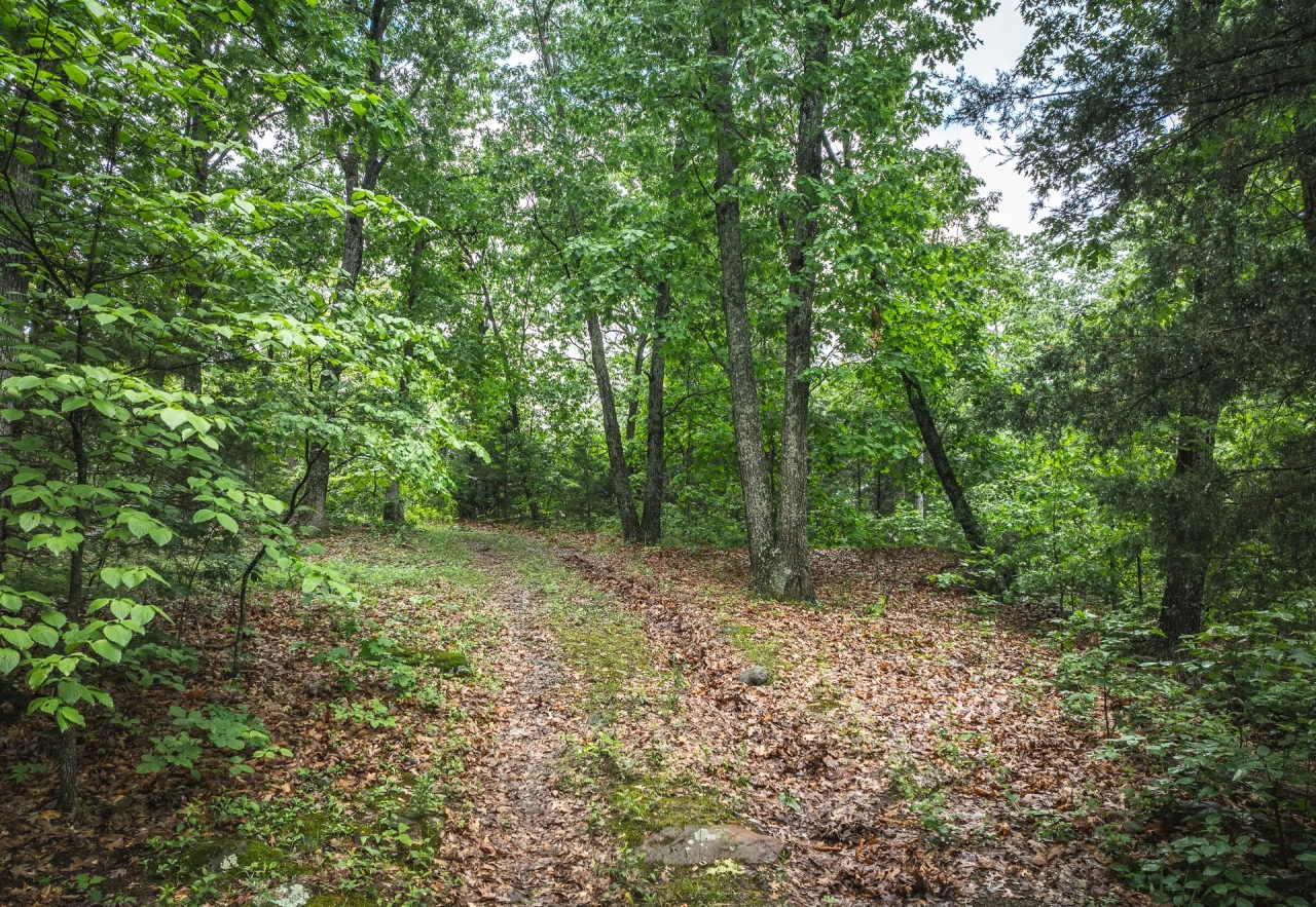 County Road 318 Chamois MO Hunting Land for Sale