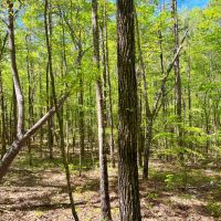29-128-weoka-sanctuary