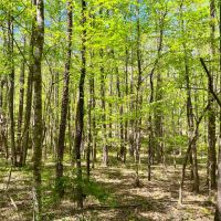 29-128-weoka-sanctuary images 2