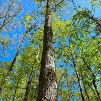 29-128-weoka-sanctuary images 4