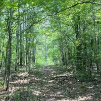 29-128-weoka-sanctuary images 5