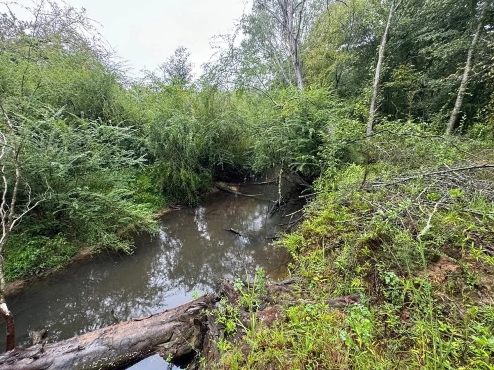 10 Acres Hunting Recreational Property in SW MS featured image