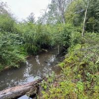10 Acres Hunting Recreational Property in SW MS