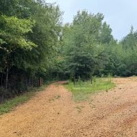 10 Acres Hunting Recreational Property in SW MS images 2