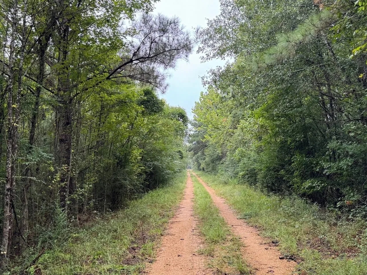 10 Acres Hunting Recreational Property in SW MS Hunting Land for Sale