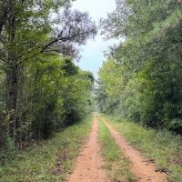 10 Acres Hunting Recreational Property in SW MS images 3