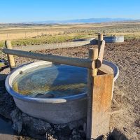 Shields Valley View Ranch images 4