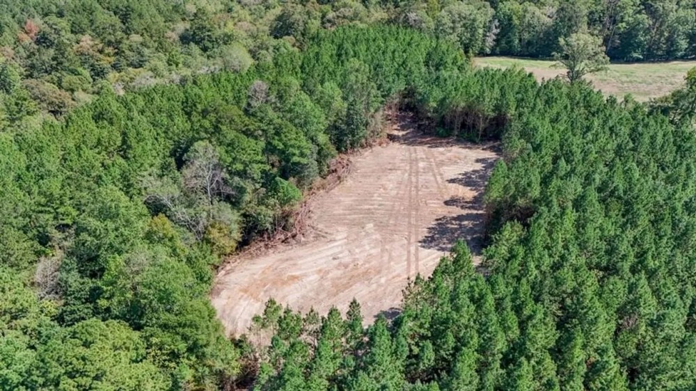 Turnkey Property in Amite County Connected to Caston Creek featured image