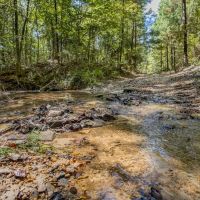 Turnkey Property in Amite County Connected to Caston Creek images 2
