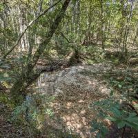 Turnkey Property in Amite County Connected to Caston Creek images 3