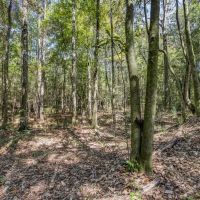 Turnkey Property in Amite County Connected to Caston Creek images 4
