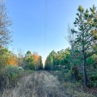 210 Acres Maya 1004 Tract 12