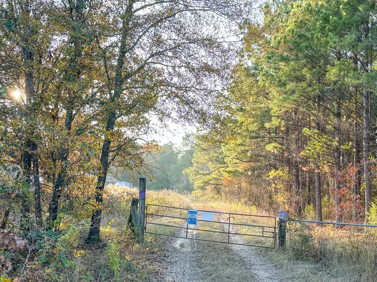 210 Acres Maya 1004 Tract 12 Hunting Land for Sale HuntingLocator