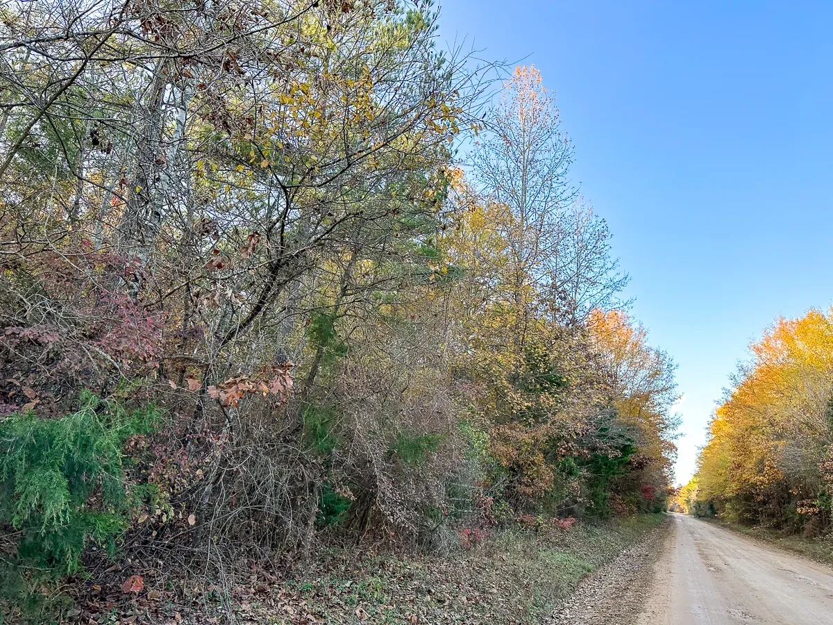 210 Acres Maya 1004 Tract 12 Hunting Land for Sale HuntingLocator