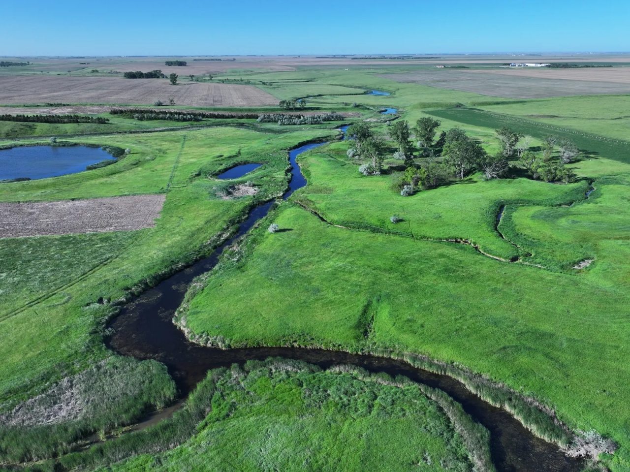 Swift Valley Ranch Hunting Land for Sale