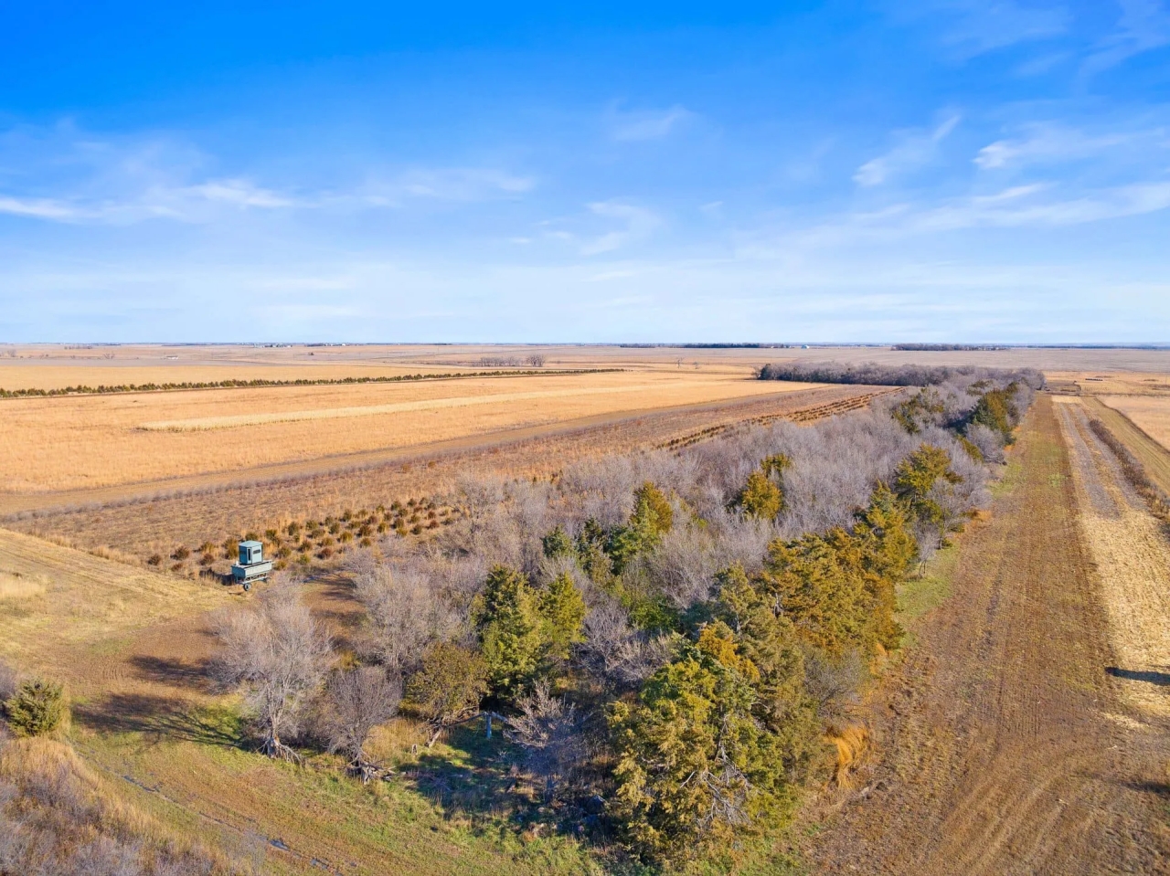 The Ultimate Pheasant Hunt Hunting Land for Sale