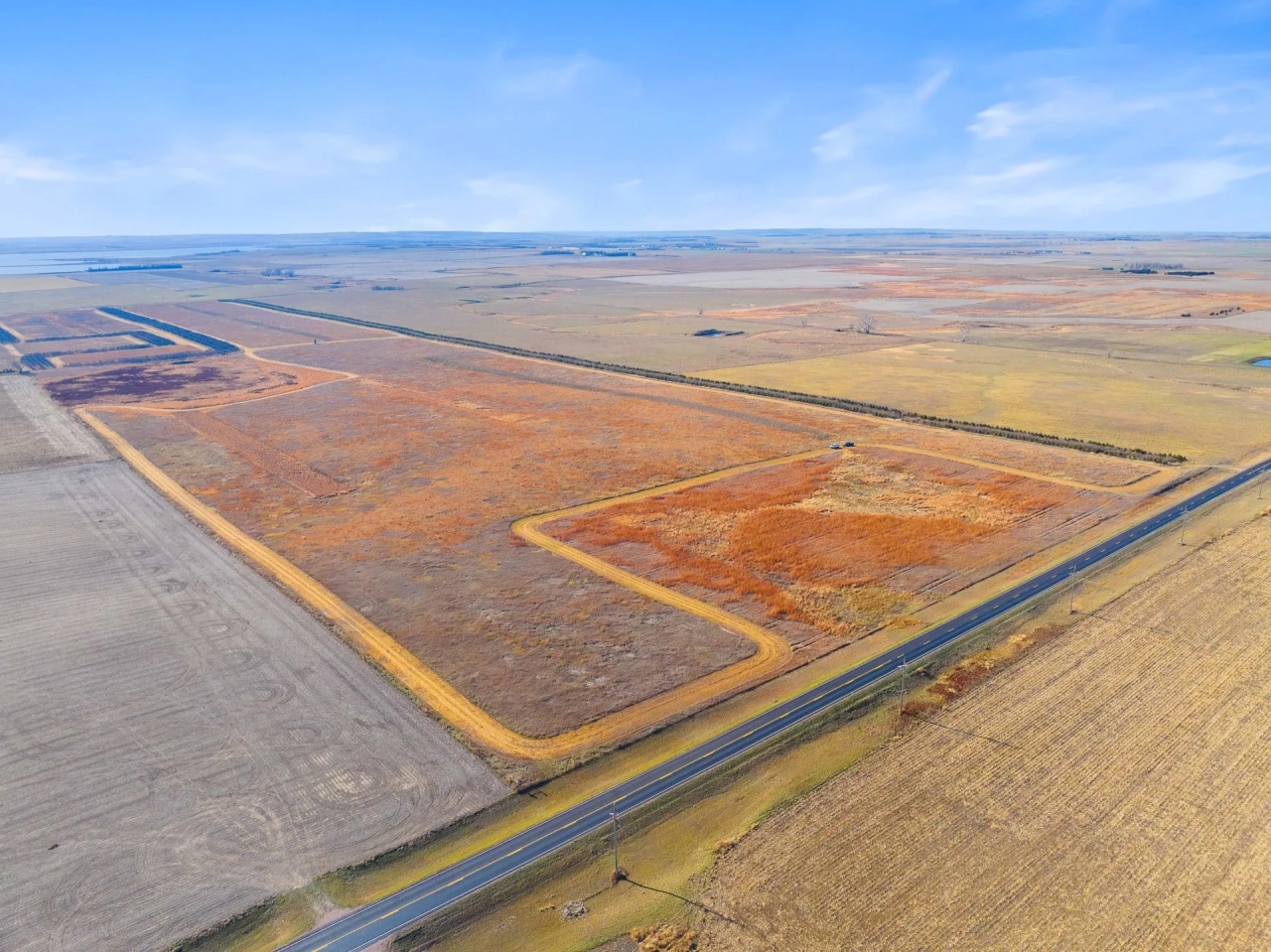 The Ultimate Pheasant Hunt Hunting Land for Sale