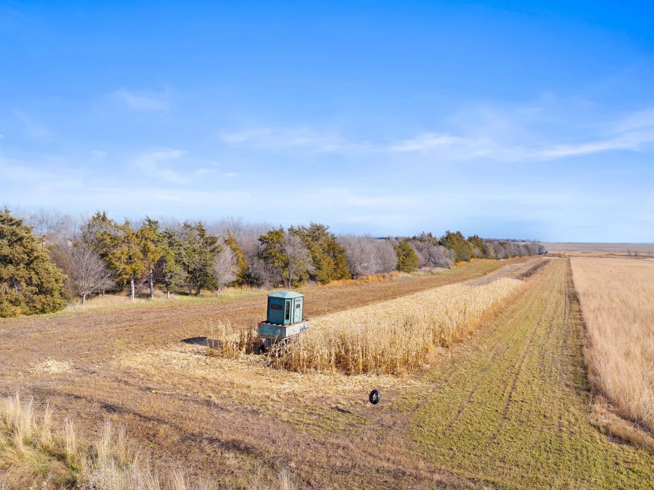 The Ultimate Pheasant Hunt Hunting Land for Sale