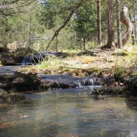 The Mountain at Homesteader s Spring images 2