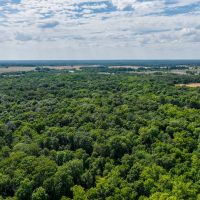 Approximately 133 acres of rolling hills and wooded bliss in Dix IL images 5