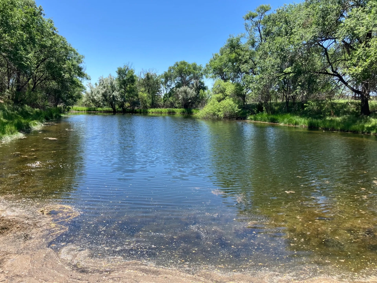 Barker Ranch East Hunting Land for Sale