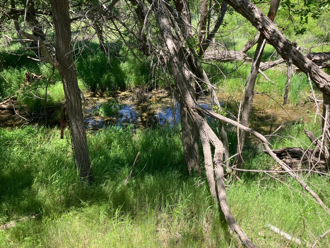 Barker Ranch East Hunting Land for Sale