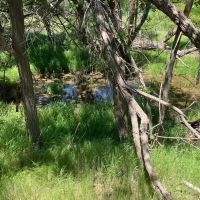 Barker Ranch East images 3