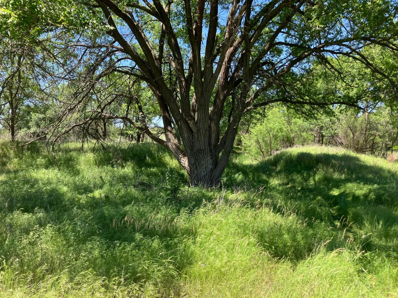 Barker Ranch East Hunting Land for Sale