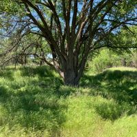 Barker Ranch East images 4