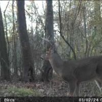 Calera Outdoor Paradise images 2