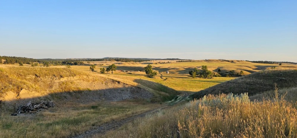 Yellowstone Wildlife Refuge featured image