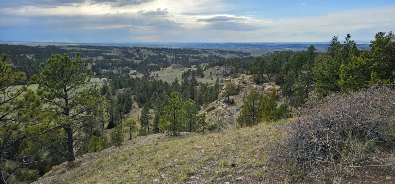 Yellowstone Wildlife Refuge Hunting Land for Sale HuntingLocator