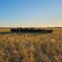 Yellowstone Wildlife Refuge images 5