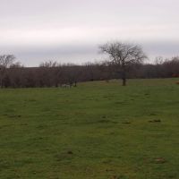1060 ACRES PRIME RANCH LAND images 5