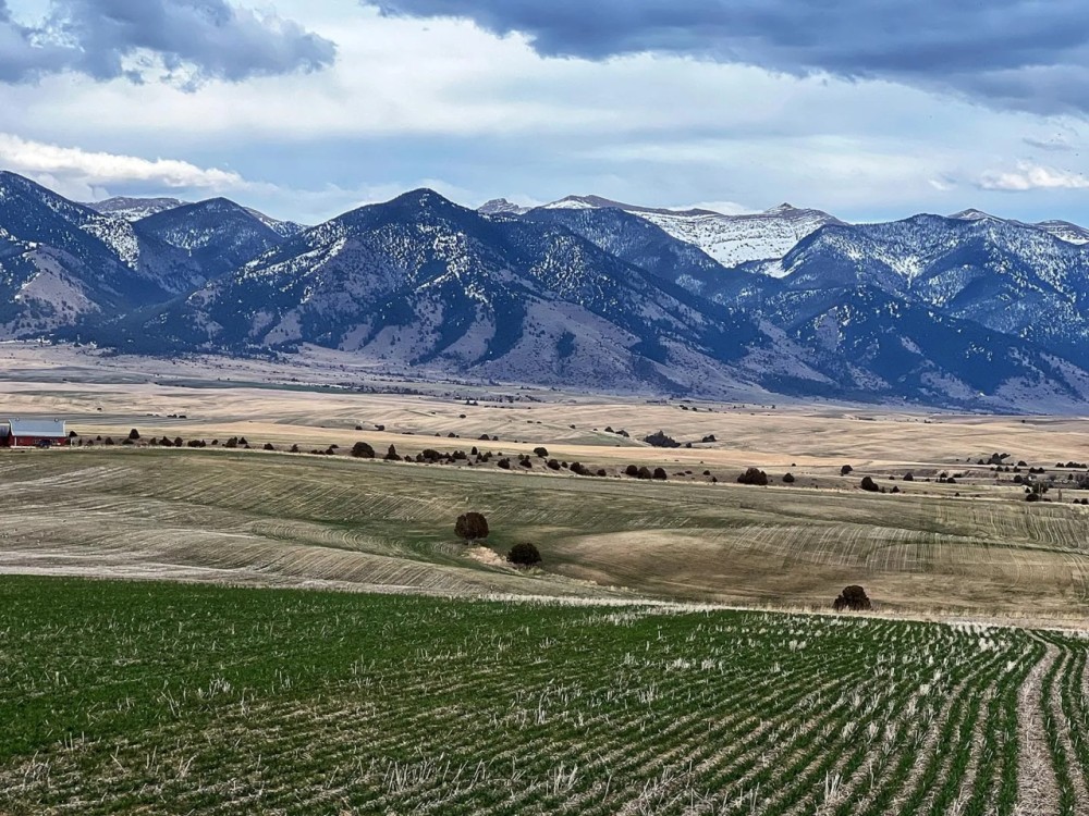 Bridger Views at Rocking S7 featured image