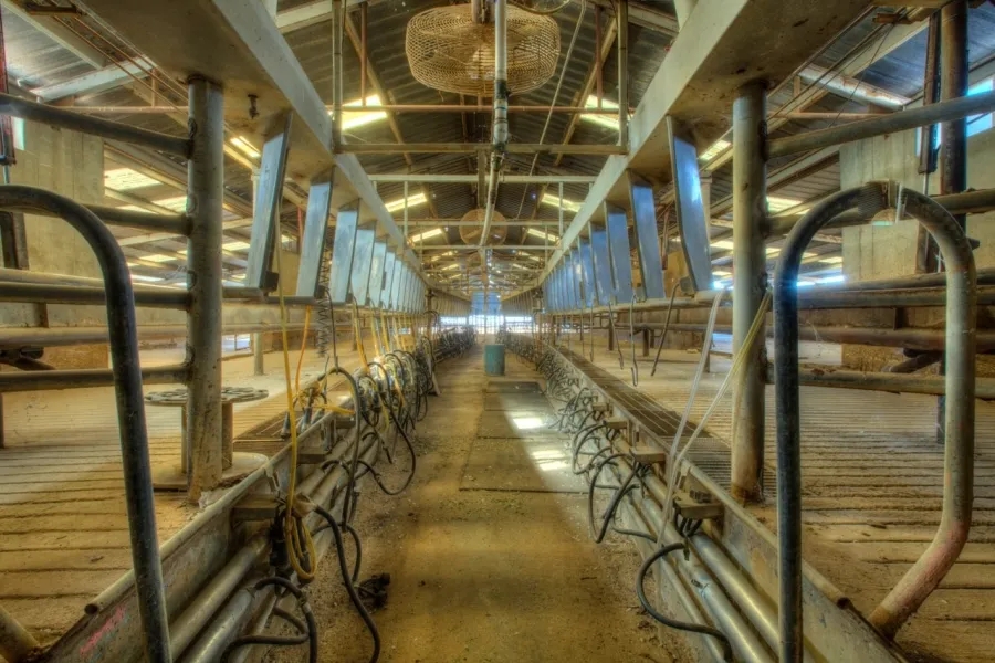 106 Acre TurnKey Dairy Farm For Sale in Anthony NM Hunting Land for