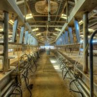 106 Acre Turn-Key Dairy Farm For Sale in Anthony NM images 3