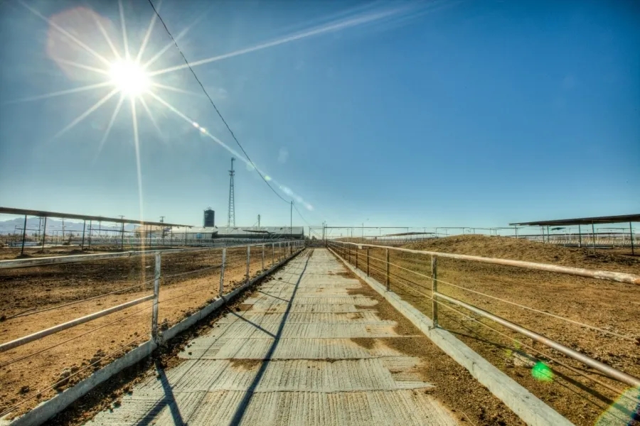 106 Acre TurnKey Dairy Farm For Sale in Anthony NM Hunting Land for