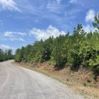 White Springs Tract images 3