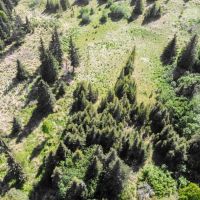 Mountain View Lot In Ninilchik images 2