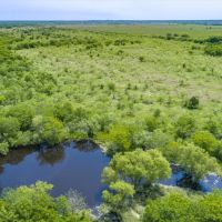 176.99 ACRES NEAR TERRELL images 2