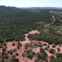 New Listing 10.01 Acres Taylor County