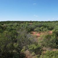 New Listing 10.01 Acres Taylor County images 5