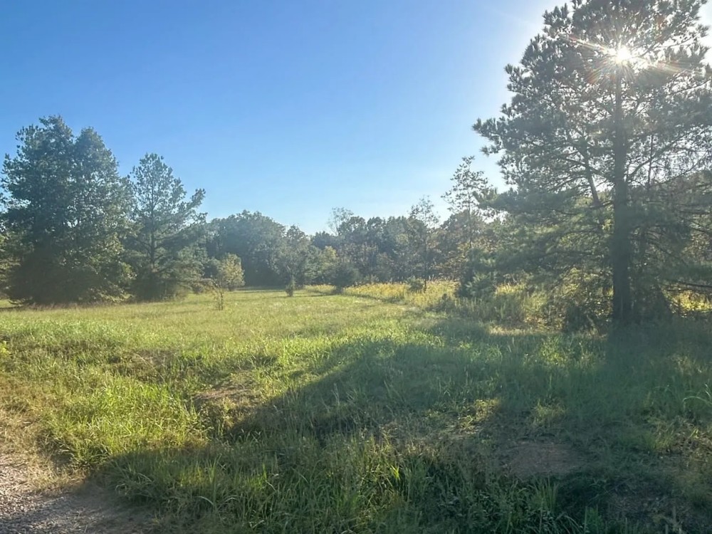 Noxubee_19 ac_3063 Fox Chase featured image