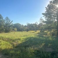Noxubee_19 ac_3063 Fox Chase
