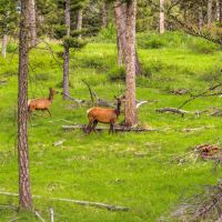Cinnabar Mountain Ranch images 3