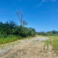 51 acres Magnolia Holmesville Road