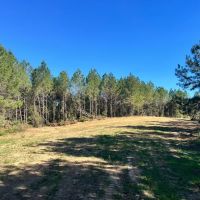 83 Acres in Amite County MS