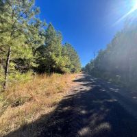 83 Acres in Amite County MS images 4